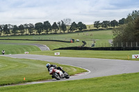 Advanced Group Red Bikes